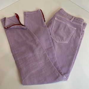 Current/Elliott The Ankle Skinny W/Short Zip in Mercury Glass w Red Zipper 27-0